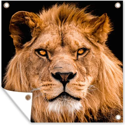 Produktbild von MuchoWow® 50x50 cm Outdoor-Poster Gartendeko Sichtschutz Garten Poster für den Garten  Löwe - Porträt - Schwarz