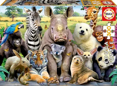 Obrázok produktu pre Educa 15908 Zábavné zvieratká zo zoo, 300 dielikov puzzle pre dospelých a deti od 8 rokov, puzzle so zvieratkami