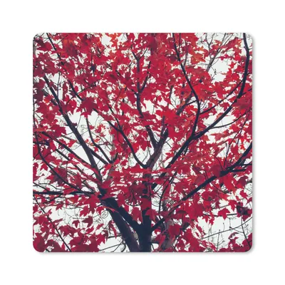 Produktbild von MuchoWow® Mauspad Mousepad Ahorn - Blätter - Herbst - Natur 20x20 cm - Mousepads - Maus Mat - Pad - Mausunterlage - Desk Mat - Bureauartikeln