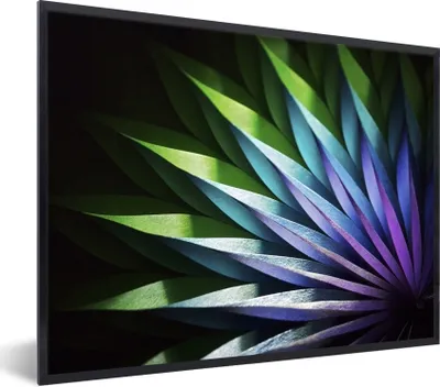 Produktbild von MuchoWow® MuchoWow® Gerahmtes Poster Blumen - Geometrie - Abstrakt 80x60 cm - Poster mit zchwarzem Bilderrahmen - Schwarzem - Mit Gestell