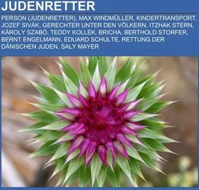 Produktbild von Judenretter