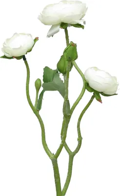 Produktbild von artplants.de Kunstblumen Zweig Ranunkel JIXIANG, weiß, 50 cm - Künstliche Blume