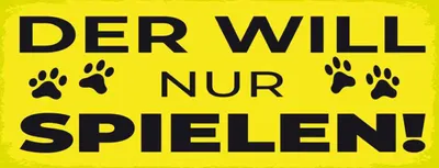 Produktbild von vianmo Holzschild 10x27 cm Hund will nur spielen Tier Haustier
