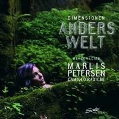 Produktbild von Petersen, M: Dimensionen-Anderswelt