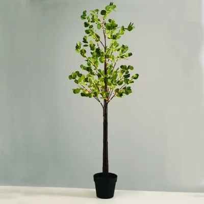 Produktbild von ACA Künstlicher Eukalyptusbaum mit Beleuchtung, 240 warmweiße LEDs, 230 V, Schutzart IP44, 180 cm hoch, im Topf, 5 m Netzkabel, X102401449