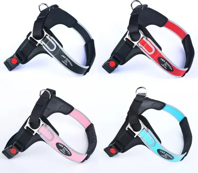 Übersicht aller Tre Ponti Geschirr Forza Silver mit reflektierendem Rand in rot, rosa, schwarz und hellblau