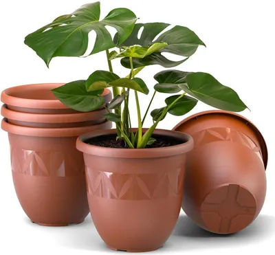 A set of terracotta-colored plant pots with a Monstera plant in one of them, set against a white background.