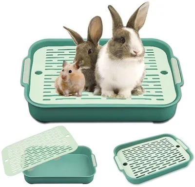 Immagine prodotto di Lettiera per piccoli animali, grande trasportino per gatti, lettiera per l'addestramento di piccoli animali, trasportino per gatti adatto a piccoli conigli e Caviar (tromba verde)