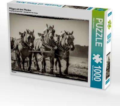Produktbild von Calvendo Pflügen mit drei Pferden 1000 Teile Puzzle quer 640x480mm, Gaymard Alain; 7372538