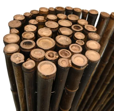 Produktbild von Schwarze Bambusmatte, 25–35 mm, 200 x 180 cm