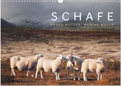 Produktbild von Schafe - Raues Wetter, weiche Wolle (Wandkalender 2025 DIN A3 quer), CALVENDO Monatskalender