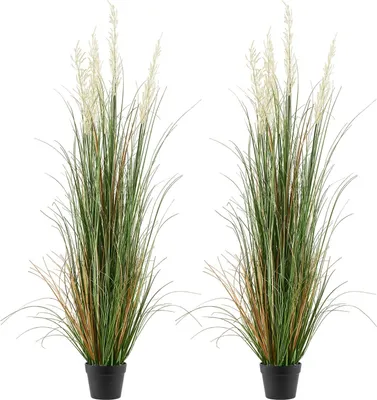Zdjęcie produktu dla Sztuczna trzcina - sztuczna roślina w doniczce - zestaw 2 sztuk - wysokość ok. 150 cm - tworzywo PVC - do użytku wewnątrz i na zewnątrz - łatwa w pielęgnacji - zielona