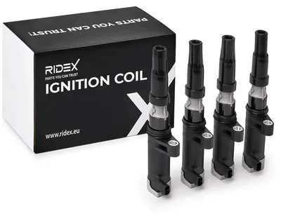 Produktbild von 4x RIDEX 689C0487 Zündspule für RENAULT Clio III Schrägheck (BR0/1, CR0/1) TWINGO II (CN0) CLIO II (BB0/1/2, CB0/1/2) MEGANE III Grandtour (KZ0/1)
