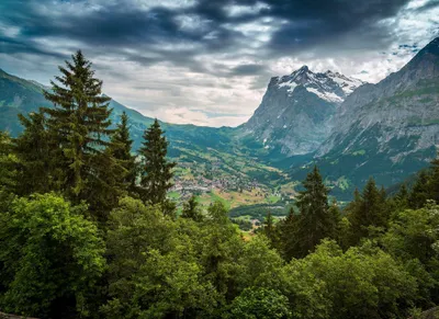 Produktbild von A.S. Création Fototapete Designwalls Tapete Landschaft Berge Wald blau grün weiß Vlies glatt