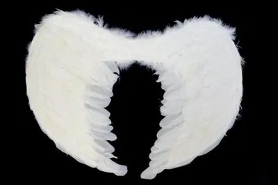 Image de ailes d'ange 60x45cm SK7976