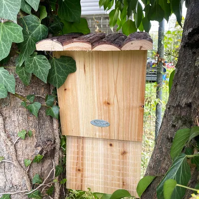 Image de Nichoir pour chauves souris