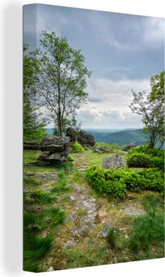 Produktbild von OneMillionCanvasses® - Leinwandbilder - 90x140 cm, Ein Hochpunkt in den Ardennen, Wandbilder Kunstdruck Wanddekoration - Foto auf Leinwand - Gemälde auf Holzrahmen  - Wandschmucke - Schlafzimmer