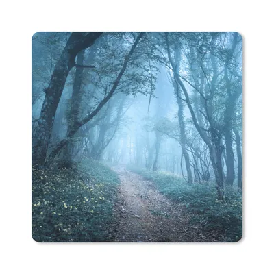 Produktbild von MuchoWow® Mauspad Mousepad Bäume - Natur - Nebel 20x20 cm - Mousepads - Maus Mat - Pad - Mausunterlage - Desk Mat - Bureauartikeln