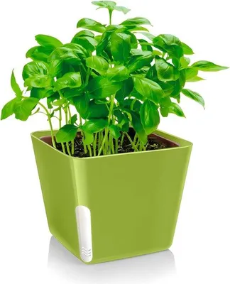 Obrázok produktu pre Zelené štvorcové kvetináče – 13 x 11 cm na rastliny, kvety a bylinky – ideálne do záhrady, na terasu a balkón