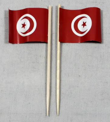 Produktbild von Party-Picker Flagge Tunesien Papierfähnchen in Spitzenqualität 25 Stück Beutel
