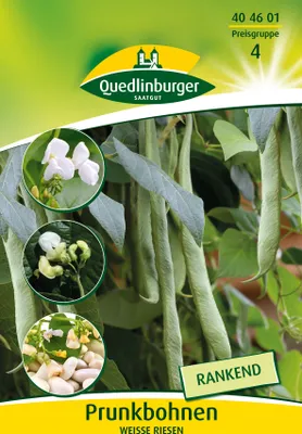 Artikelbild 2 von 'Prunkbohne Weisse Riesen' aus der Kategorie Prunkbohnensamen