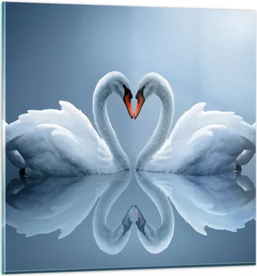 Produktbild von Bilder auf glas - Ladung Dampf Wasser - 40x40cm - Glasbilder - Wandbilder - Kunstdruck - zum Aufhängen bereit - Wanddekoration aus Glas - Glas Bilder - Wandbild auf Glas - Einteilig - GAC40x40-3541