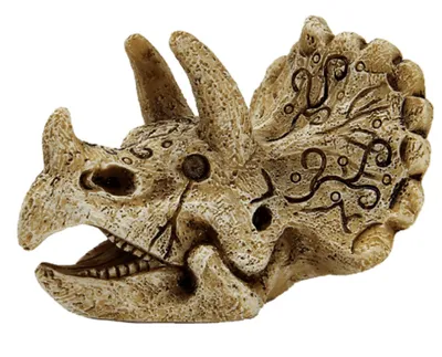 Productafbeelding van SuperFish Skull Triceratops S