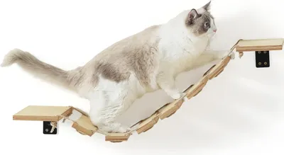 Immagine prodotto di Ponte per gatti da parete con scaletta - larghezza 325 cm - Autostrada fai-da-te per gatti - per gatti di taglia media e grande