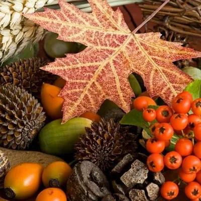 Produktbild von RP 20 Servietten Autumn - Früchte & Ahornblatt 33x33cm