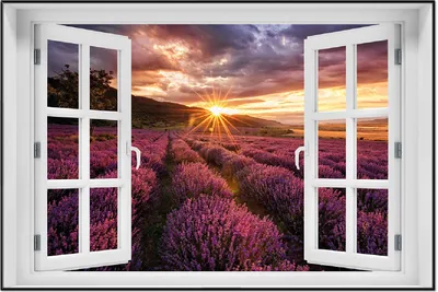 Produktbild von Wallario Wandbild mit Fenster-Illusion: Lavendelfeld bei Sonnenuntergang - Sonnenstrahlen, Größe: 61 x 91,5 cm, Poster mit schwarzem Aluminiumrahmen