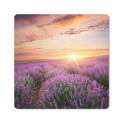 Produktbild von MuchoWow® Mauspad Mousepad Lavendel - Sonne - Blumen 20x20 cm - Mousepads - Maus Mat - Pad - Mausunterlage - Desk Mat - Bureauartikeln