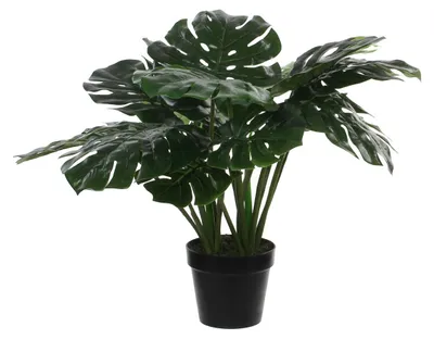 Produktbild von Mica Decorations Monstera Kunstpflanze - H60 x Ø80 cm