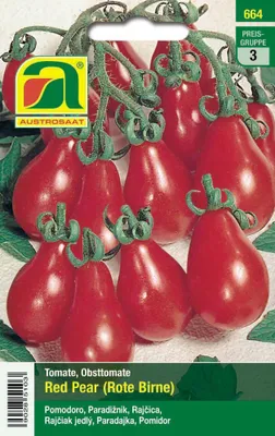 Artikelbild 1 von 'Tomaten Red pear' aus der Kategorie Tomatensamen