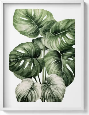 Produktbild von Bemalte Monstera-Blätter– Wandbild mit Rahmen – Gerahmtes Bild  – Wanddekoration – 60x80 cm –  Weiß Rahmen