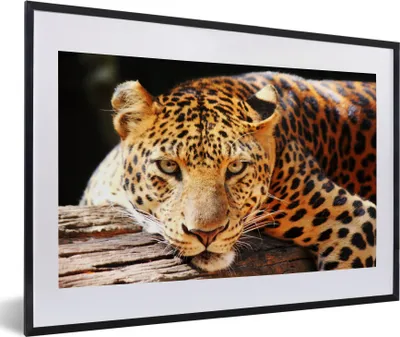 Produktbild von MuchoWow® MuchoWow® Gerahmtes Poster Panther - Baum - Natur 60x40 cm - Poster mit zchwarzem Bilderrahmen - Schlafzimmer - Plakat in Rahmen - Drucken