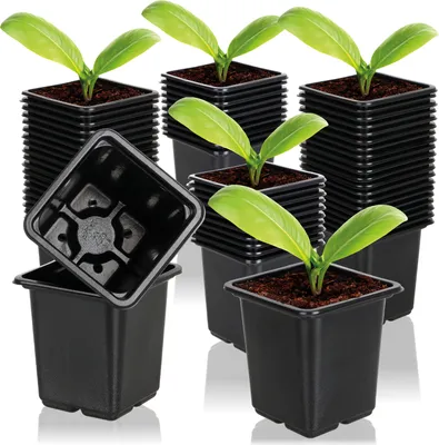 Obrázek produktu pro com-four® 60x pěstební květináče pro rostliny 7,5 cm – květináče pro pěstování – květináče pro pěstování rostlin, čtvercové květináče s otvory na spodní straně