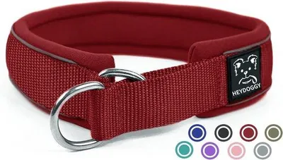 Imagen del producto de Correa reflectante de nylon para perros: duradera, de nylon, reflectante, antideslizante, ideal para el adiestramiento de cachorros y perros de todas las razas y tamaños