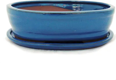 Image de bol bonsaï avec soucoupe taille 4 - bleu - ovale - modèle o7 - l 26cm - b 21cm - h 7,5cm