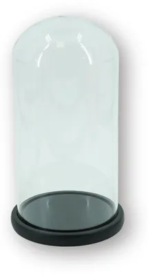 Image de Cloche en verre - Verre/Bois - Noir - 17x17x32 cm