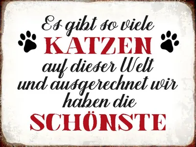 Produktbild von vianmo Holzschild 30x40 cm wir haben die schönste Katze
