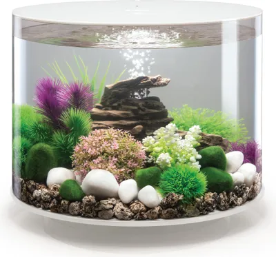 Produktbild von biOrb TUBE 35 MCR weiß (72073)