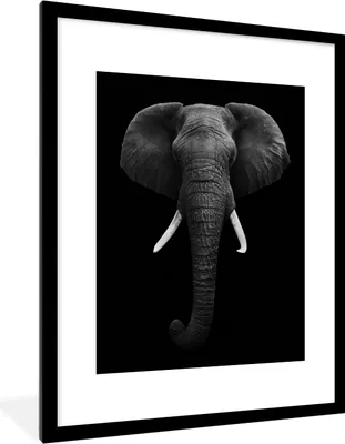 Produktbild von MuchoWow® Gerahmtes Poster Elefant - Wildtiere - Schwarz - Weiß - Porträt 60x80 cm - Poster mit Schwarzem Bilderrahmen Wandposter Rahmen Foto Bilder - Wohnzimmer - Dekorationen - Prämie