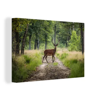 Produktbild von OneMillionCanvasses® - Leinwandbilder - 150x100 cm, Wald - Hirsche - Bäume, Wandbilder Kunstdruck Wanddekoration