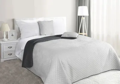 Image de Eurofirany TITO Plaid Bicolore Velours Polyester 220x240