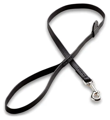 Produktbild von Hundeleine Charly aus Premium Leder - Fettleder 1m - Hunde Leder Leine - Führleine mit Bolzen-Karabiner (Schwarz)
