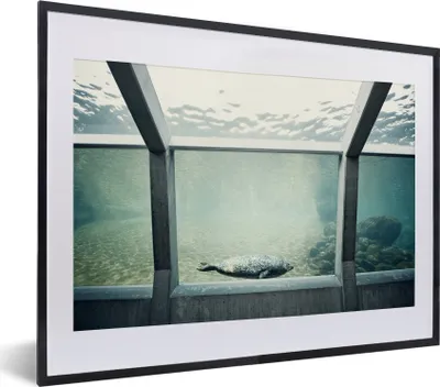 Produktbild von MuchoWow® MuchoWow® Gerahmtes Poster Robbe im Aquarium 40x30 cm - Poster mit zchwarzem Bilderrahmen - Bilderrahmen - Poster im Rahmen
