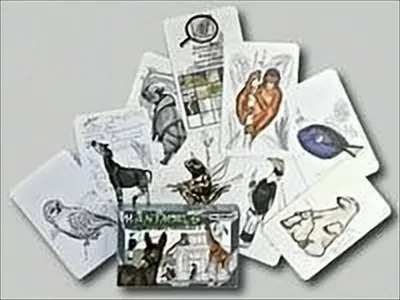 Produktbild von ADL81023 - Manimals Wilhelma 1 - Kartenspiel (GB, DE, FR), für 2 bis 6 Spieler, ab 6 Jahren
