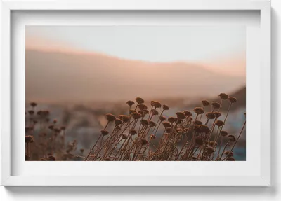 Produktbild von Boho romantische Graslandschaft– Wandbild mit Rahmen – Gerahmtes Bild  – Wanddekoration – 60x40 cm –  Schwarz Rahmen
