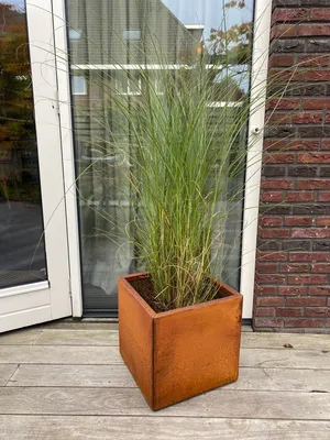 Produktbild von Pflanzkübel - Blumenkübel aus Cortenstahl 50 x 50 x 50 cm - Pro Stück