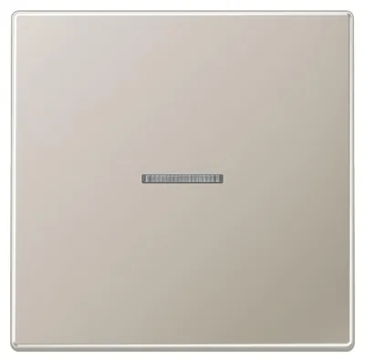 Image de Jung Bascule pour bouton-poussoir ES 2990 KO5